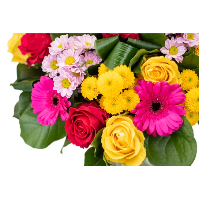 Bouquet with roses and germinis